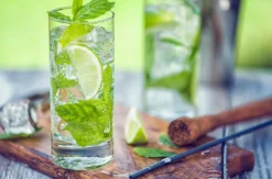 Gin Tasting Österreich