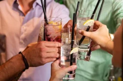 Gin Tasting Österreich