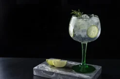 Gin Tasting Stuttgart Bad Cannstatt