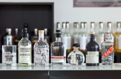 Gin Tasting Stuttgart (7 Premium Gins)