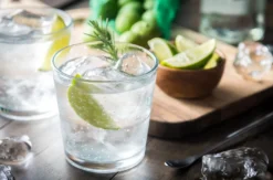Gin Tasting Stuttgart (7 Premium Gins)