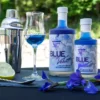 Gin & Tonic Tasting für 2 in Waxenberg