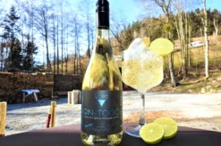 Gin & Tonic Tasting für 2 in Waxenberg