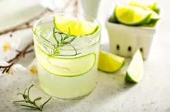 Gin Verkostung Nürnberg