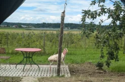 Glamping Meckenbeuren für 2 (3 Nächte)