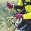 Gleitschirm Schnupperkurs Schweiz
