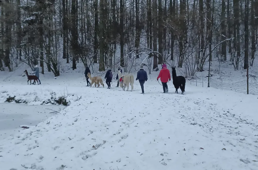 Glühweinwanderung Schönau-Berzdorf für 2