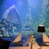Gourmet-Menü im Unterwasser-Restaurant in Neuwied für 2