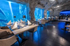 Gourmet-Menü im Unterwasser-Restaurant in Neuwied für 2