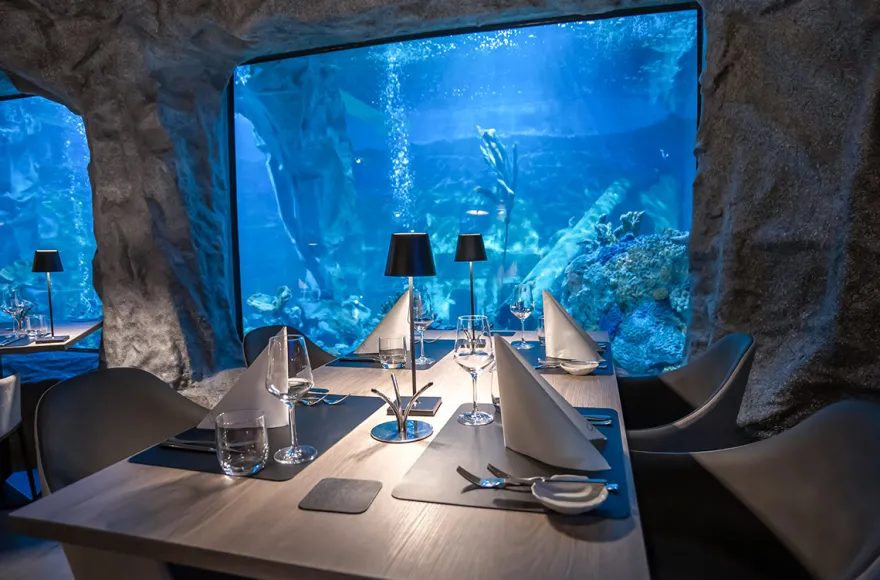 Gourmet-Menü im Unterwasser-Restaurant in Neuwied für 2