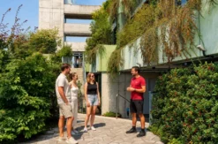 Grüner Bunker-Tour auf St. Pauli