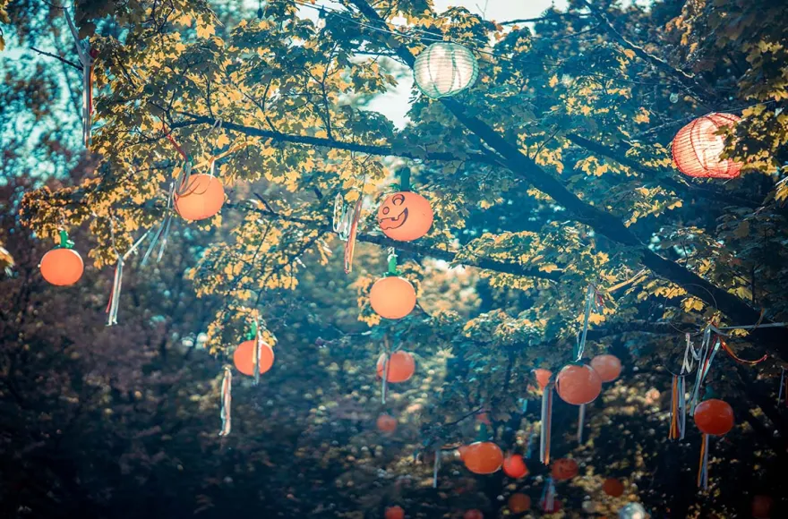 Halloween-Erlebnisreise im Serengeti-Park für 2 (1 Nacht)