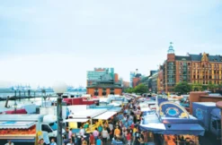 Hamburg-Tour vom Kiez zum Fischmarkt