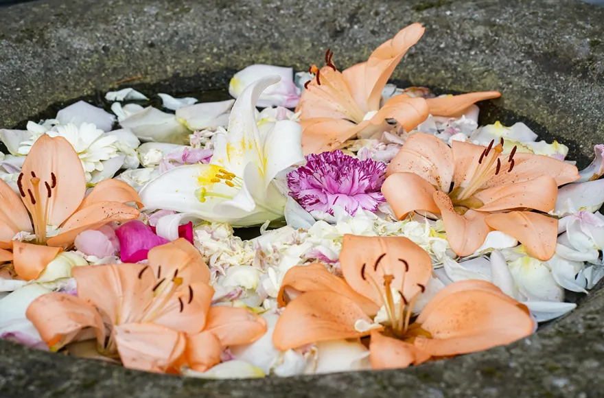 Hawaiianische Massage Bad Soden am Taunus