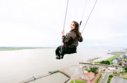 High Swing Basic