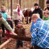Holzrücken mit Pferden Windeck