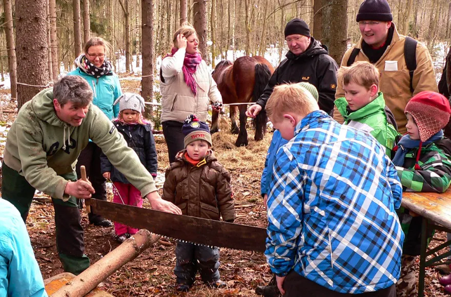 Holzrücken mit Pferden Windeck