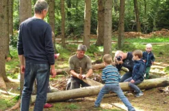 Holzrücken mit Pferden Windeck