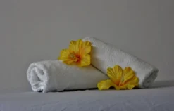 Honig-Massage Siegburg (60 min)