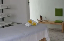 Honig-Massage Siegburg (60 min)