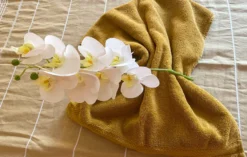 Hot Stone Massage St. Leon-Rot