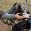 Husky Erlebnistag Neureut-Karlsruhe
