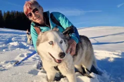 Husky Schneeschuhtrekking