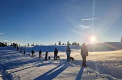 Husky Schneeschuhtrekking für 2