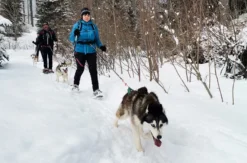 Husky Schneeschuhtrekking Postalm für 2