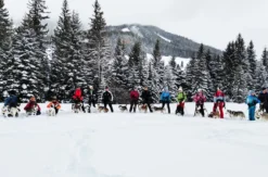 Husky Schneeschuhtrekking Postalm für 2