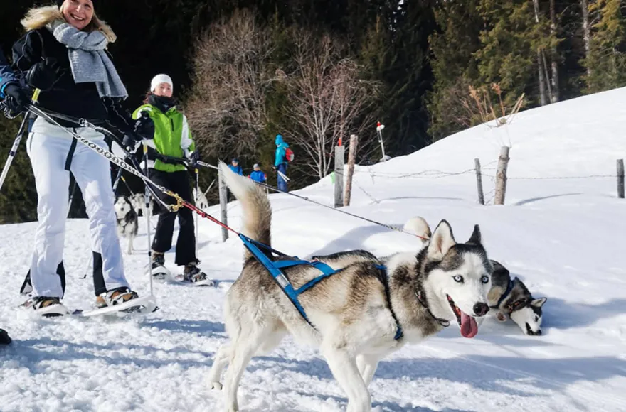 Husky Schneeschuhtrekking Postalm für 2