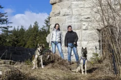 Husky Tagesausflug Bettmaringen