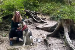 Husky Tour Neuschwanstein