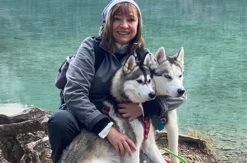 Husky Tour Neuschwanstein
