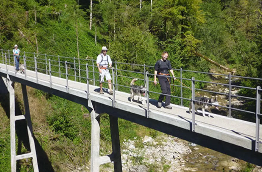 Husky-Trekking am Walensee