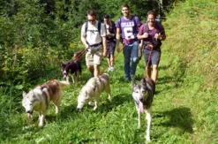 Husky-Trekking am Walensee