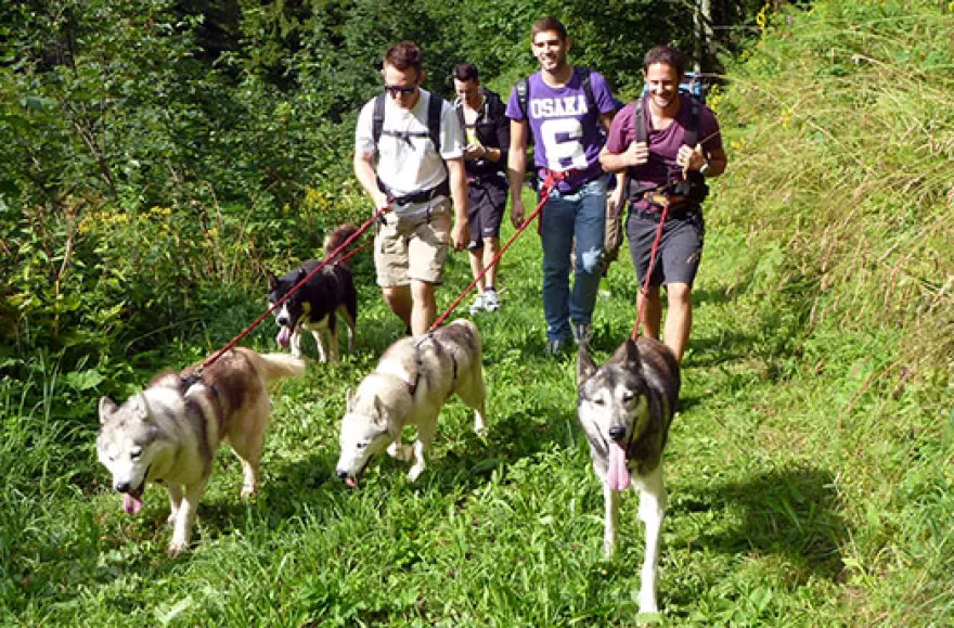 Husky-Trekking am Walensee
