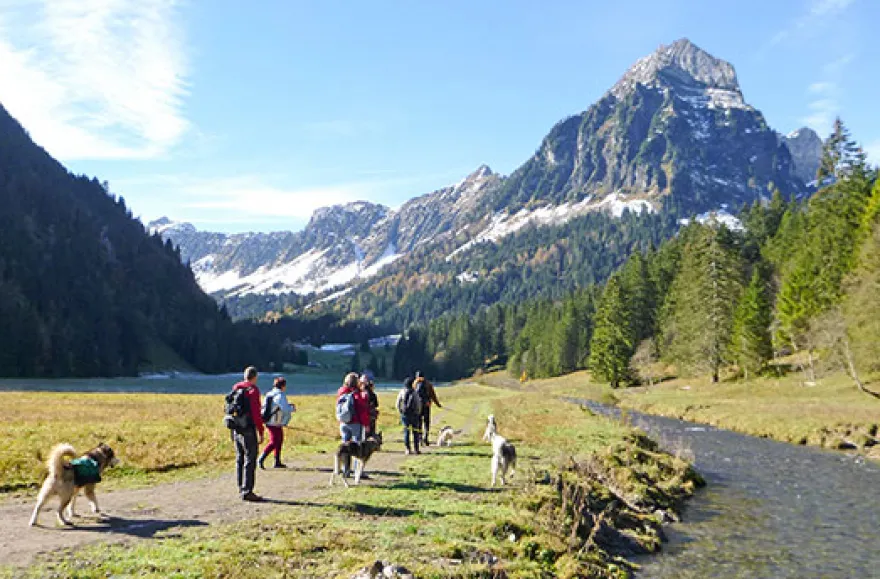 Husky-Trekking am Walensee