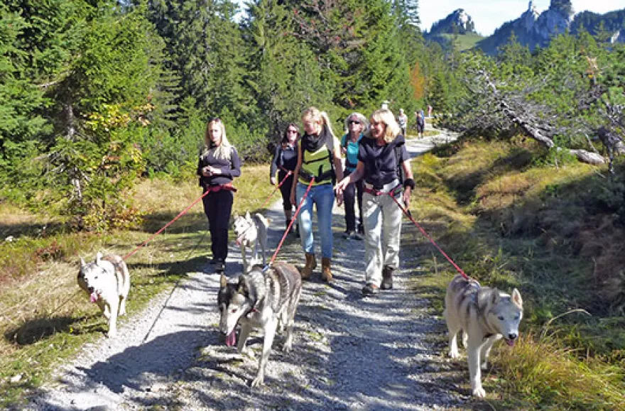 Husky-Trekking am Walensee