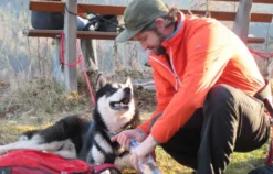 Husky-Trekking Bad Herrenalb