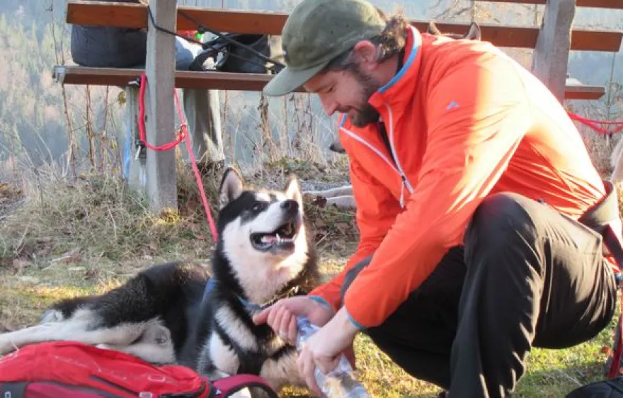 Husky-Trekking Bad Herrenalb