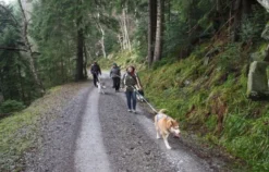 Husky-Trekking Bad Herrenalb