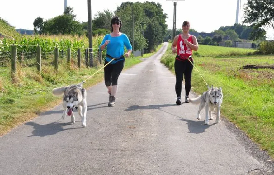 Husky Trekking Goch