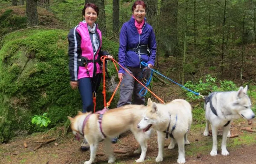 Husky Trekking Thanstein