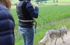 Husky Trekking Thanstein