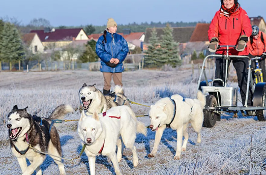 Husky Workshop