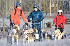 Husky Workshop