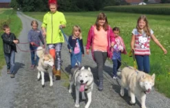 Husky Workshop Thanstein