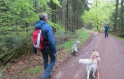 Husky Workshop Thanstein