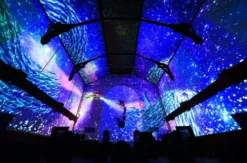 Immersive Show Heidelberg (Pixel Zoo)